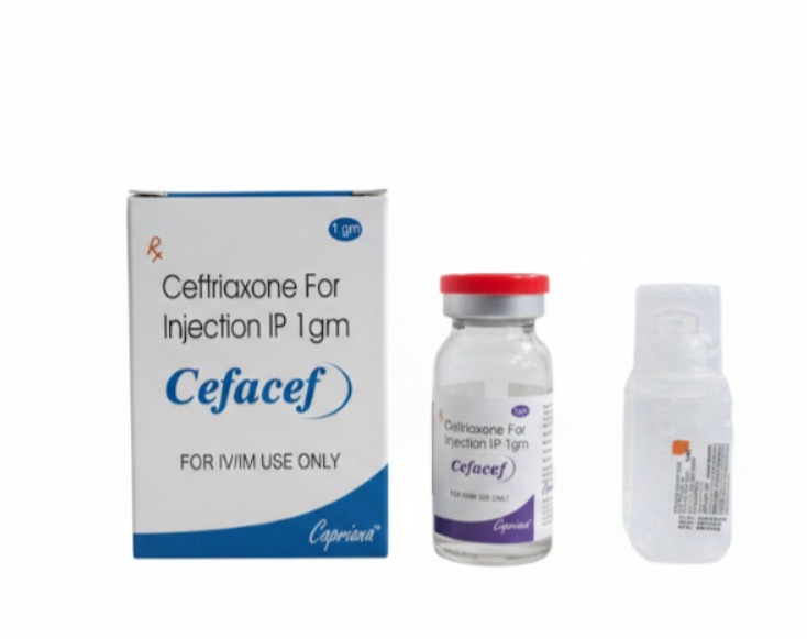 CEFACEF 1 GM