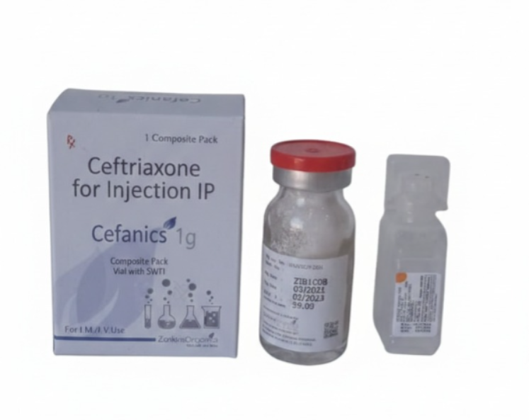 CEFANICS 1 GM