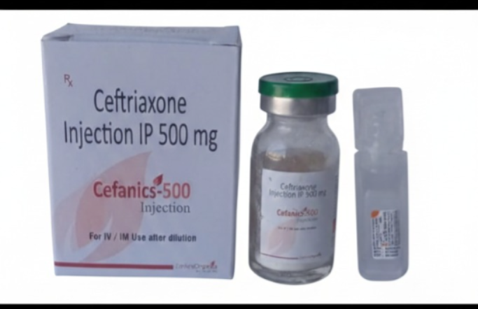 CEFANICS 500