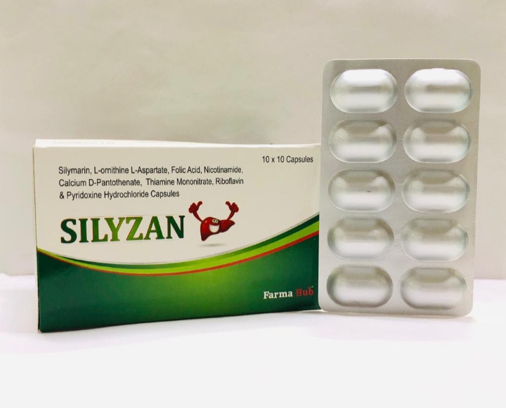 Silyzan